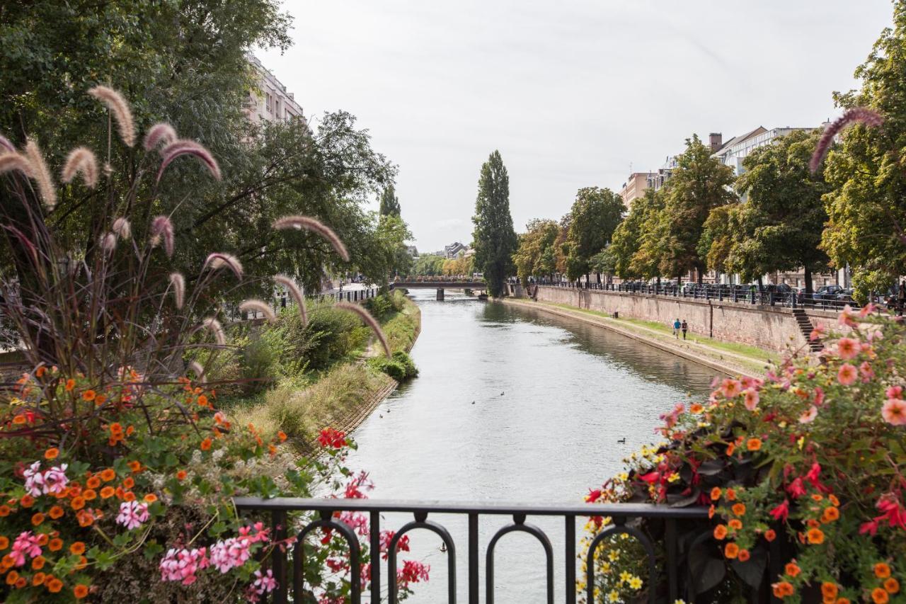 L'Appart Du Quai Avec Terrasse Strazburg Dış mekan fotoğraf